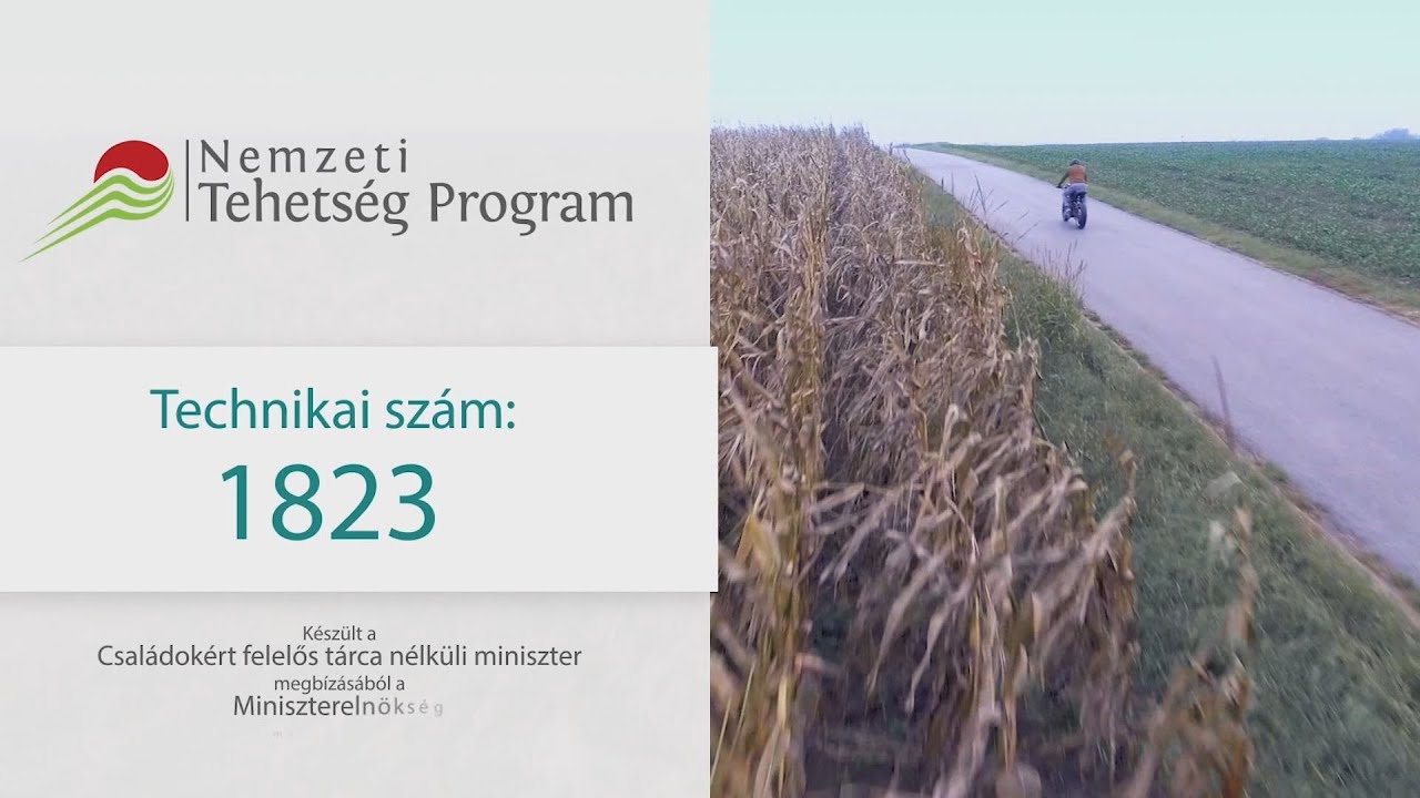 A Nemzeti Tehetség Program számára is felajánlható az adó 1 százaléka