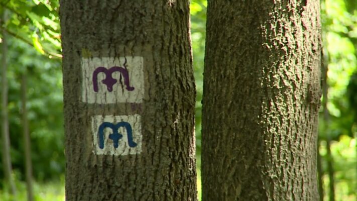 Fejlesztések a Pilisi Parkerdő területén