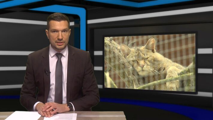 fogyasztobarat otthonbiztositasa