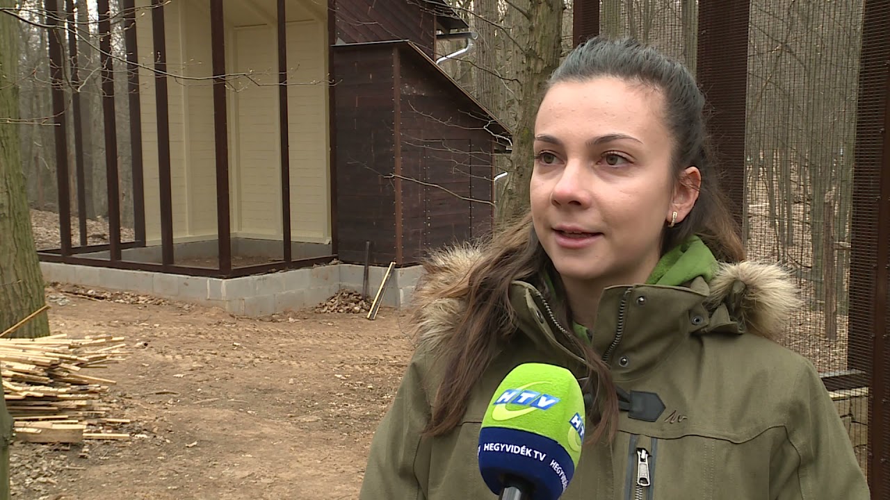 Folytatódik a Budakeszi Vadaspark fejlesztése