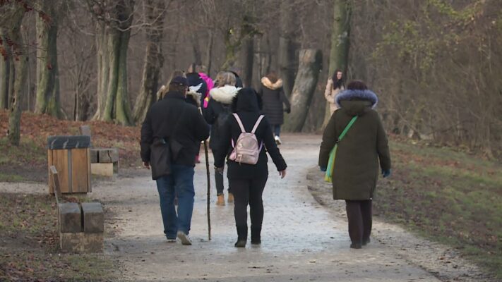 Lombkorona sétány a Normafán