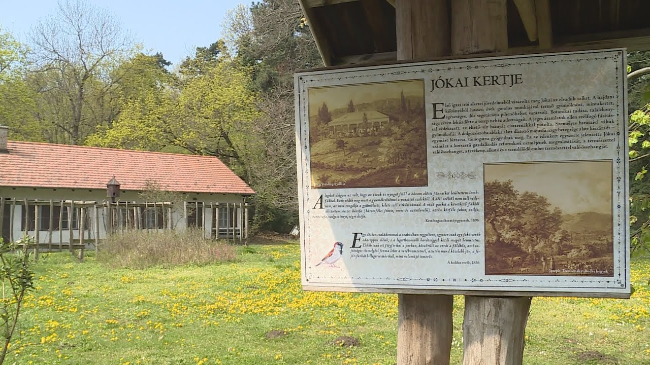 Megújul a 12. kerületi Jókai-kert