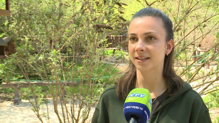 Budakeszi Vadaspark fotópályázata