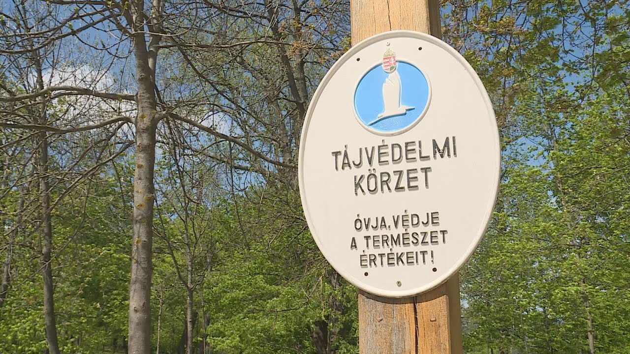 Új zajvédelmi rendelet készül a Hegyvidéken