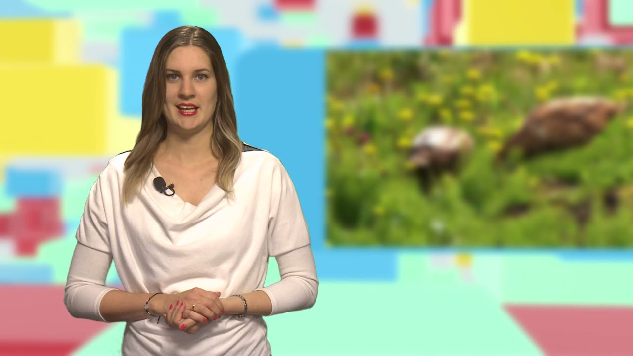 Vadőrző - Ismét látogathatók az állatkertek, vadasparkok