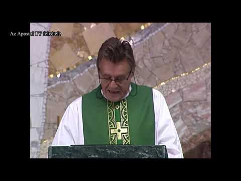 Alfa és Omega - 2021. június 27.