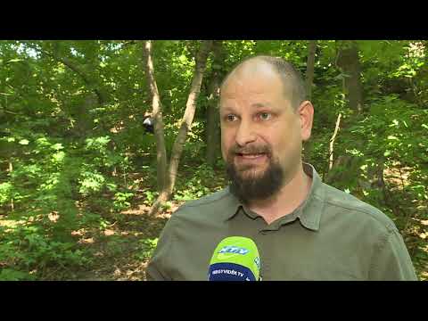 Alkalmazkodás – erdei vízgyűjtőket újít fel a Pilisi Parkerdő