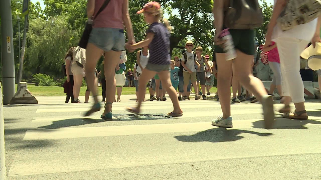 Még mindig sok baleset történik a gyalogátkelőhelyeken