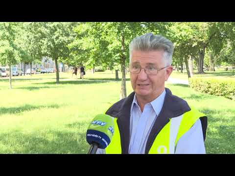 Zöldhulladék kezelés – sok konfliktust okoznak a felelőtlen kertrendezők