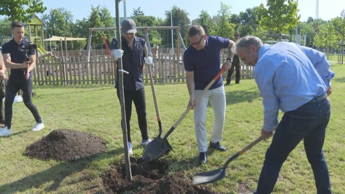 Tisztítják a levegőt és oxigént adnak - Faültetéssel hívták fel az erdőtelepítések fontosságára