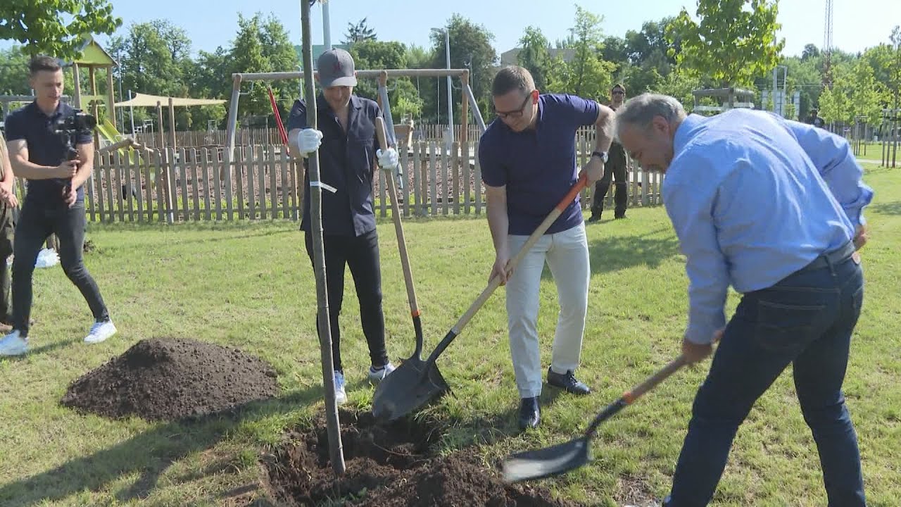 Tisztítják a levegőt és oxigént adnak - Faültetéssel hívták fel az erdőtelepítések fontosságára