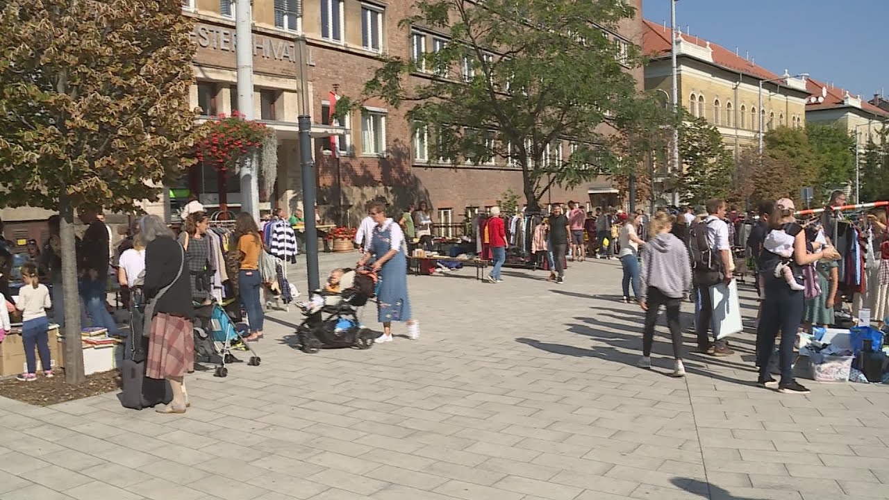 Hegyvidéki kipakoló - A közösségi piac fontos célja a szemléletformálás