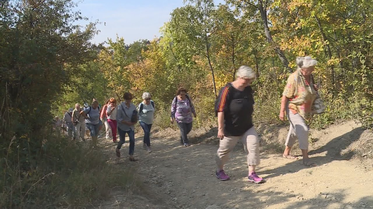 Szalon10 túra - A Sas-hegy titkait ismerhették meg túrázók
