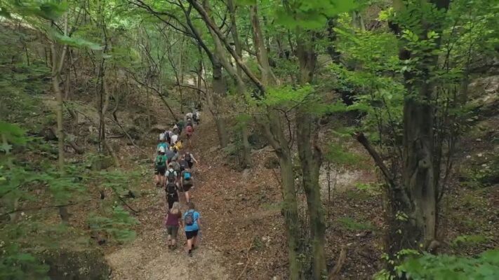 Félmilliárd forint többlettámogatást kap az Aktív Magyarország Program