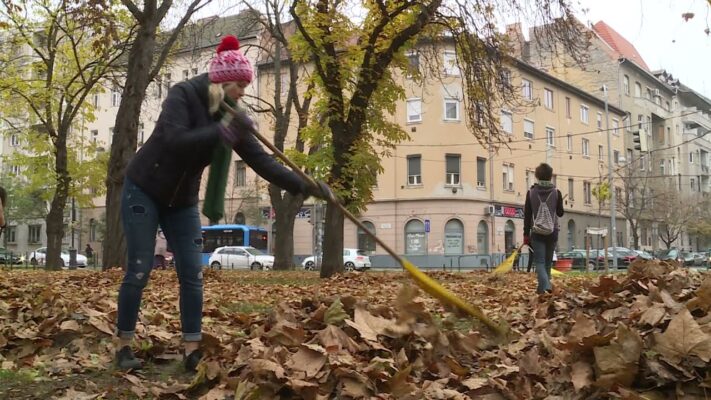 Környezetszépítés és természetvédelem - Önkéntes akciót tartottak a Városmajorban