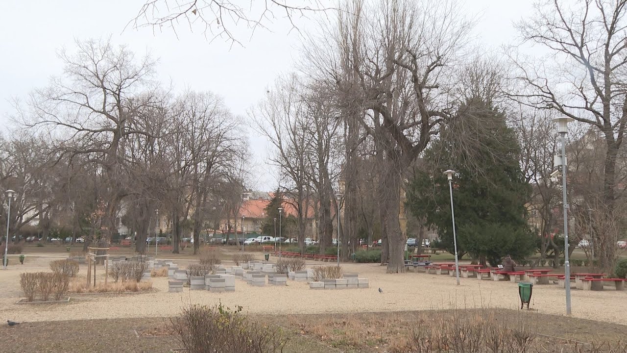 Budai Híradó 2022. január 31.
