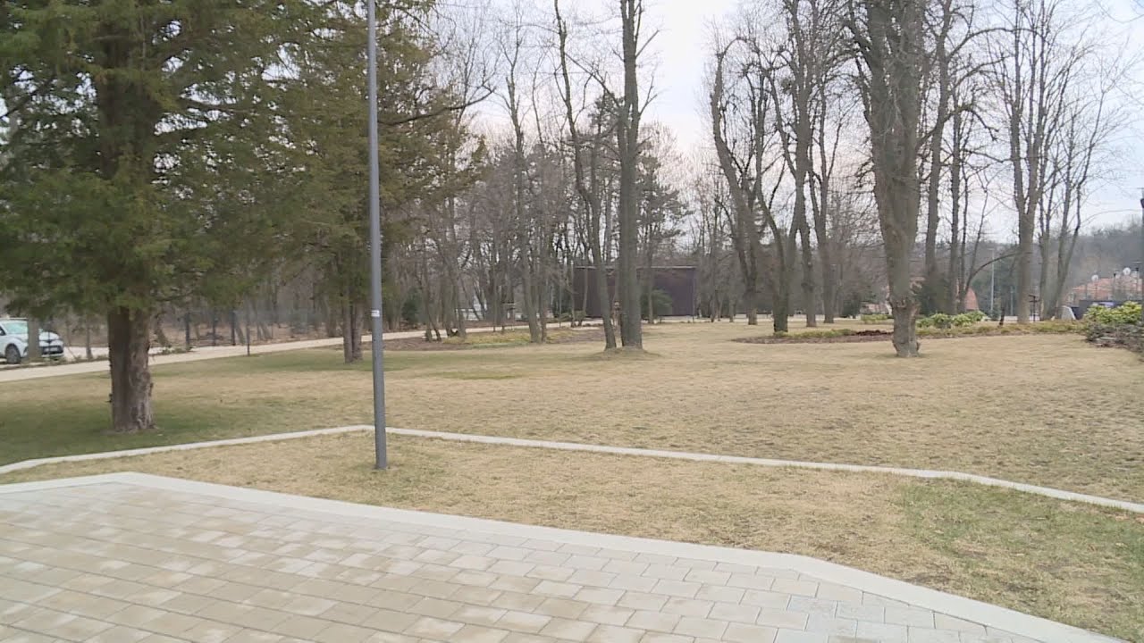 Budai Híradó 2022. március 17.