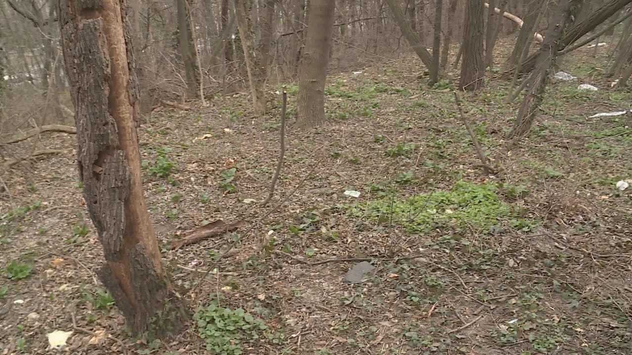 Budai Híradó 2022. március 18.