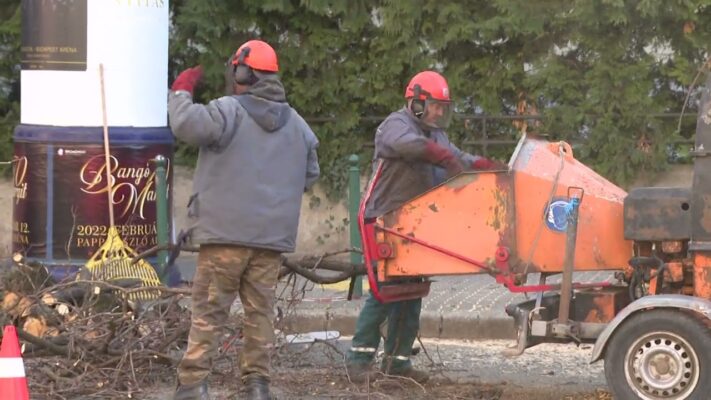 Sok bejelentés érkezett a 12. kerületi önkormányzathoz a böszörményi úti faápolási munkák miatt