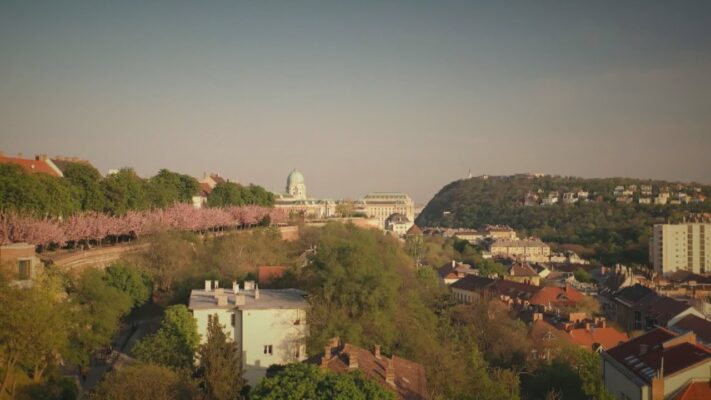 Budai Híradó 2022. április 8.