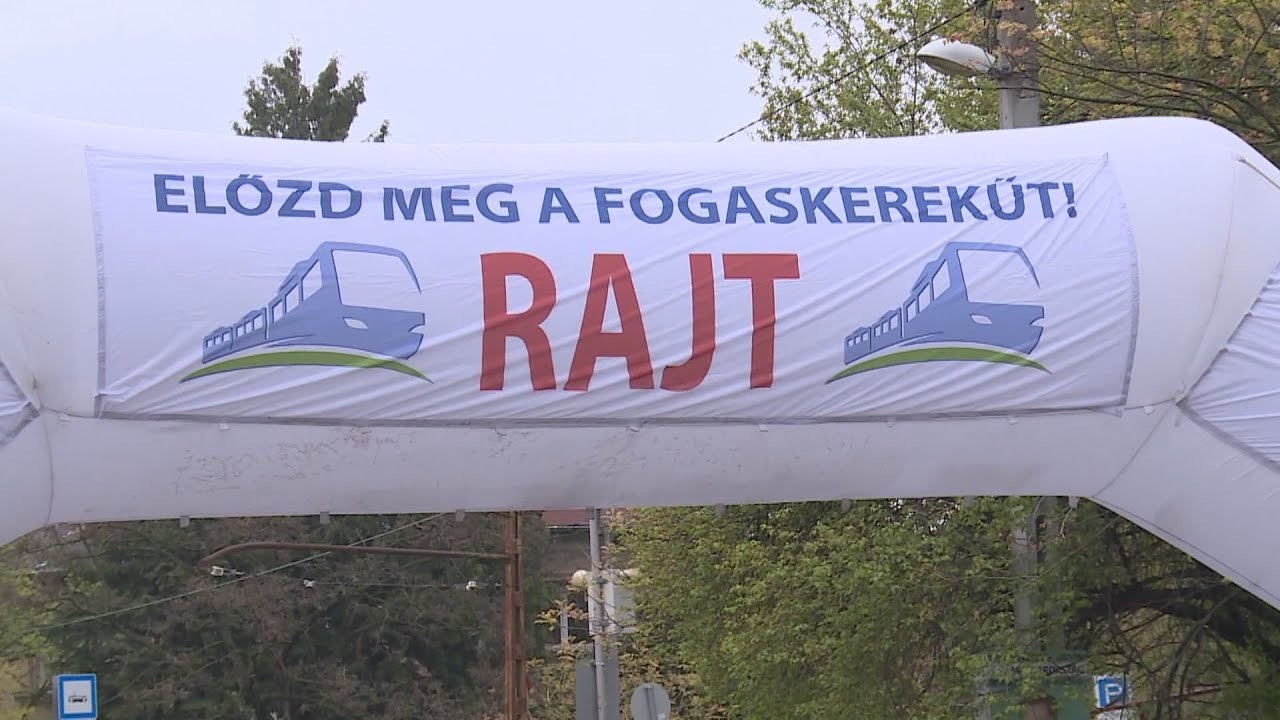 Ziccer - Versengés a fogaskerekűvel