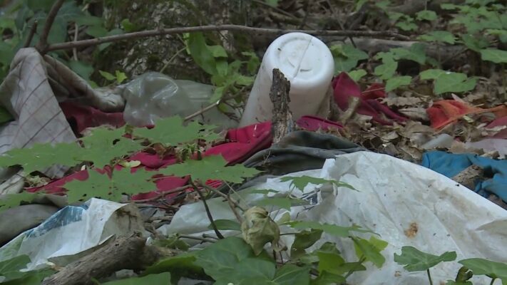 A 12. kerületi rendőrség is bekapcsolódott az erdők megtisztítása érdekében indított akcióba