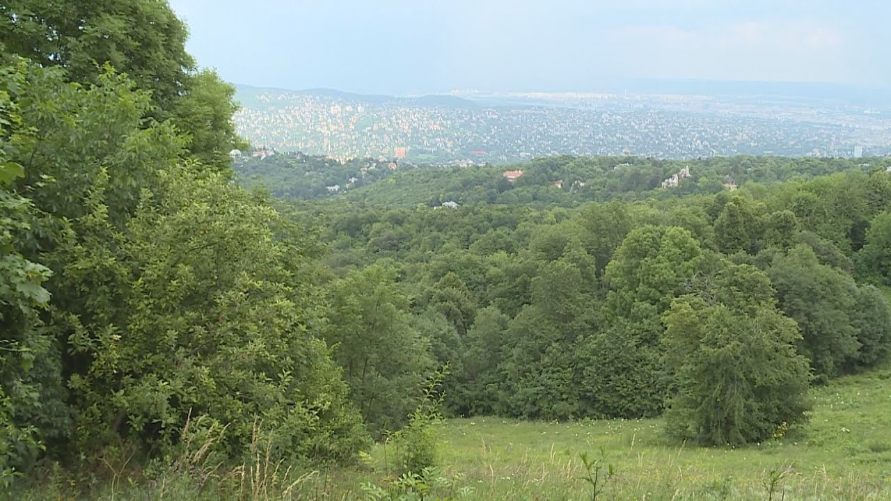 Budai Híradó 2022. június 28.