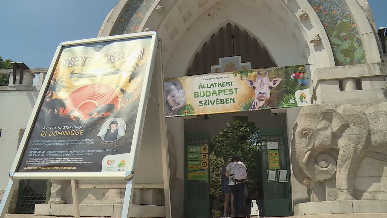156 éves a Fővárosi Állatkert