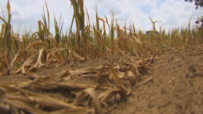 Baljós előrejelzés a klímakutatóktól