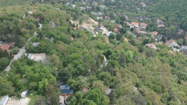 Budai Híradó 2022. augusztus 16.