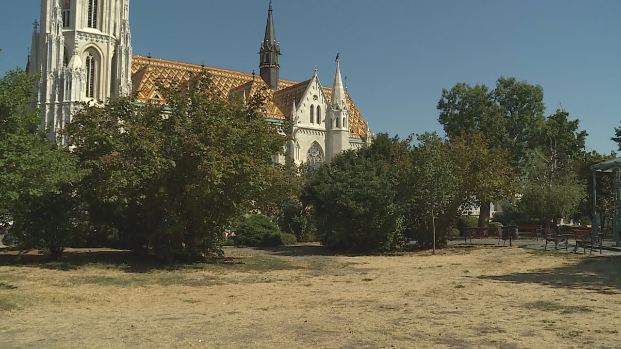 Budai Híradó 2022. augusztus 8.