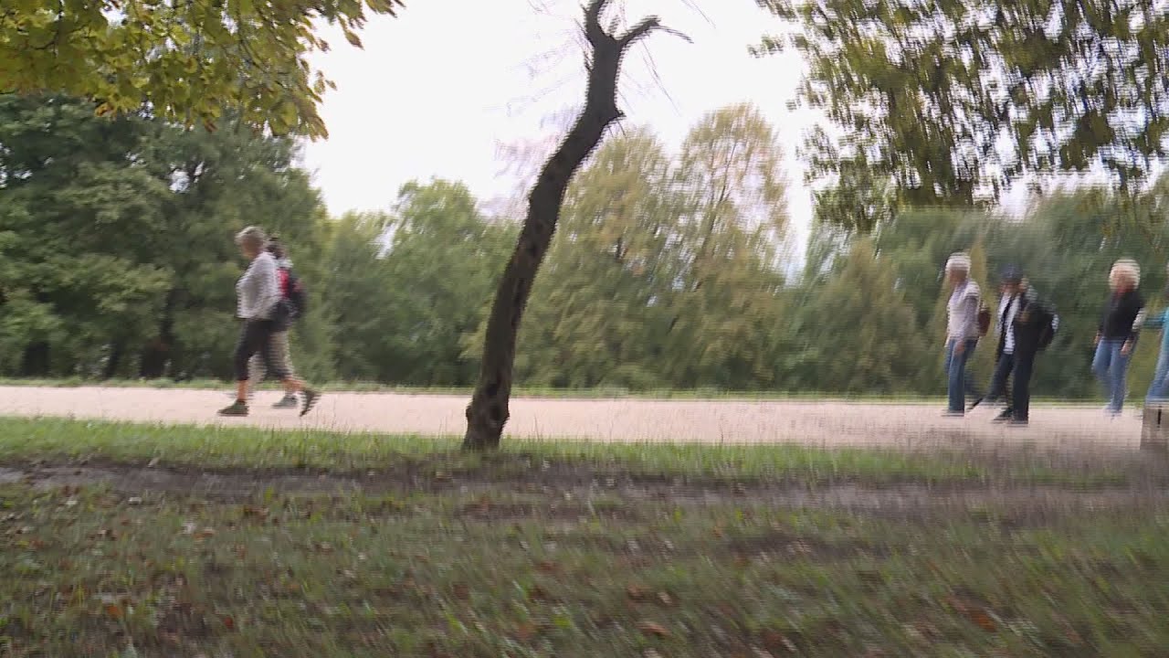 Különleges élménytúra a Normafánál