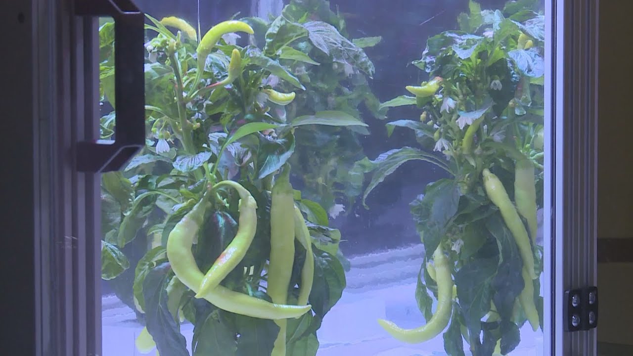 Látványos kísérletek és rendhagyó előadások