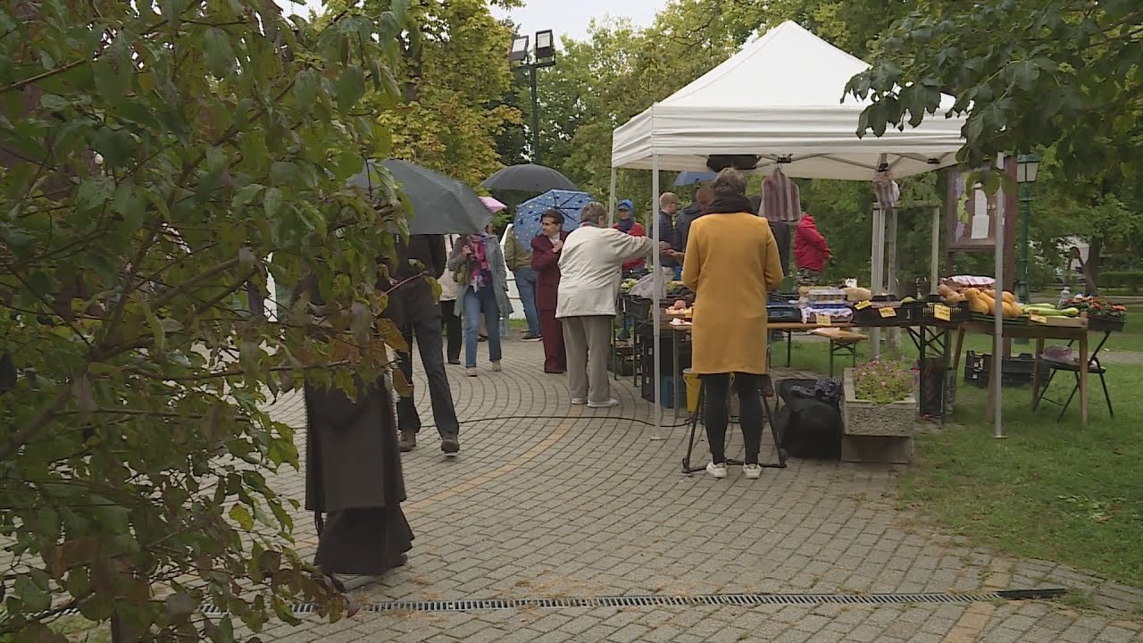 Svábhegyi terményünnep