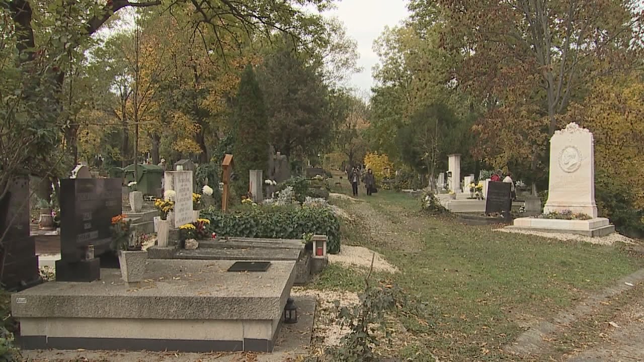 nagyobb figyelmet ker az autosok