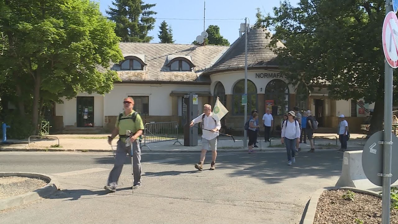 bovulhet a 12 keruleti zarandoks