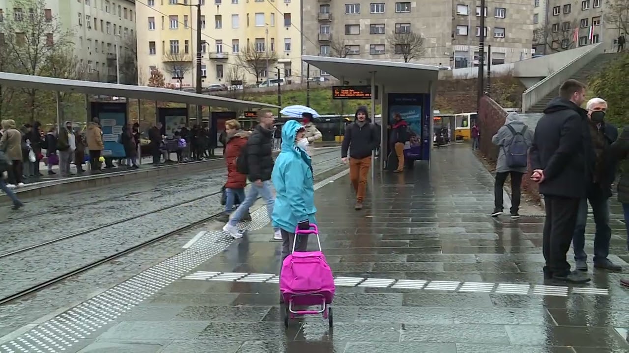 kozmeghallgatas a kozlekedes es