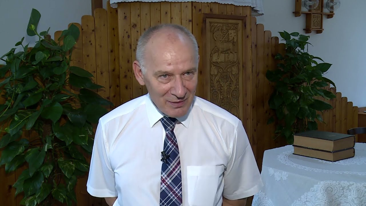 2017 diszpolgar bogardi szabo is