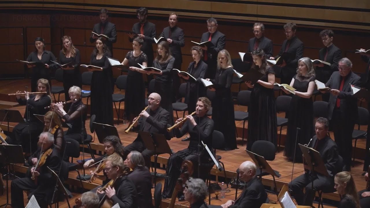bartok tavasz