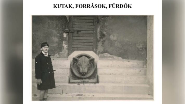 kommentar nelkul viz a hegyvidek