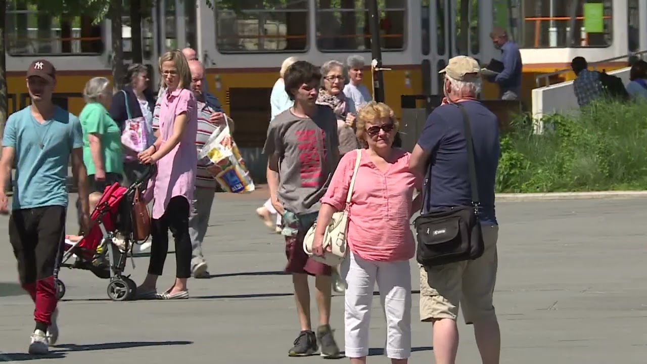 allergia a szakerto szerint a gy