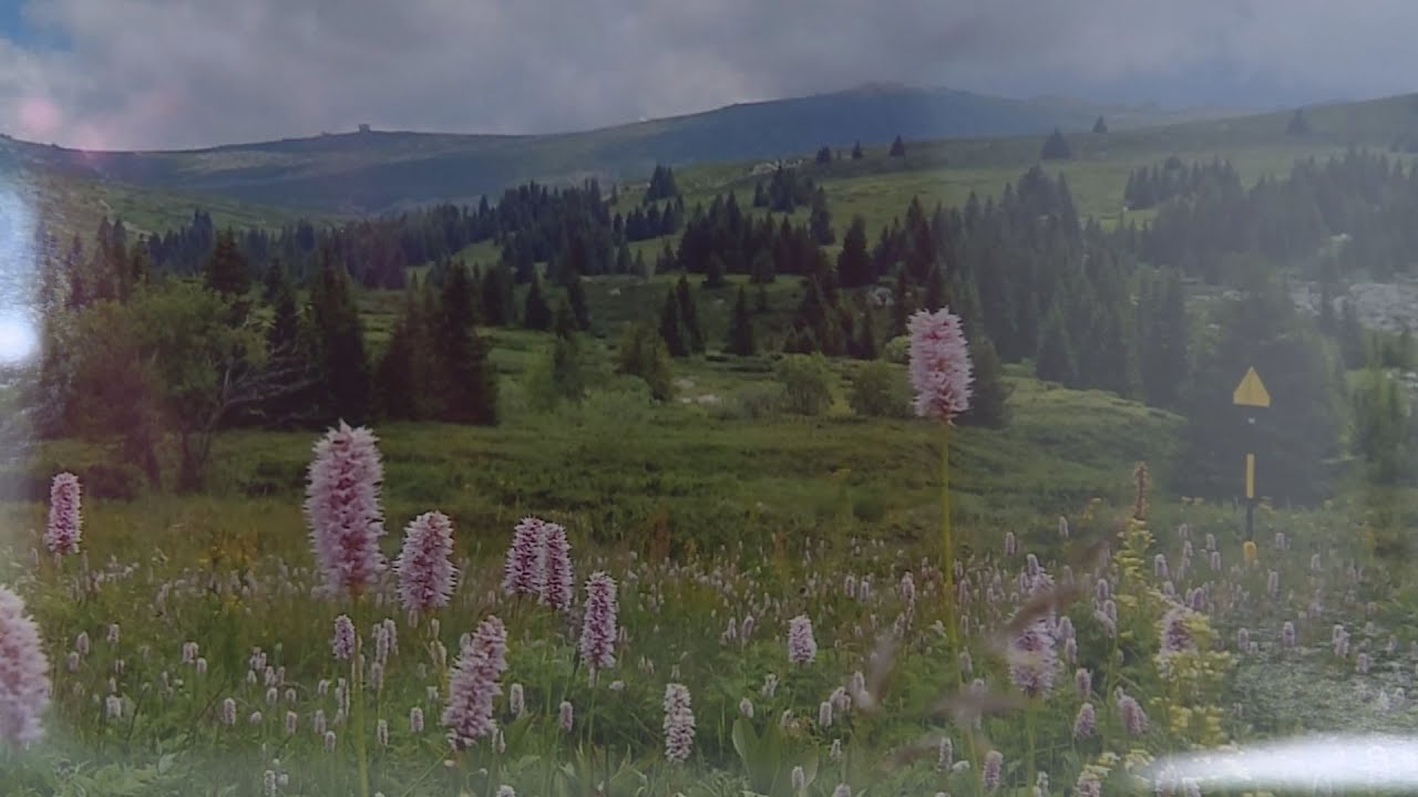 bulgaria termeszeti es kulturali