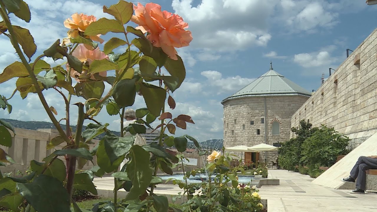 ujjaszuletett karakas pasa torny