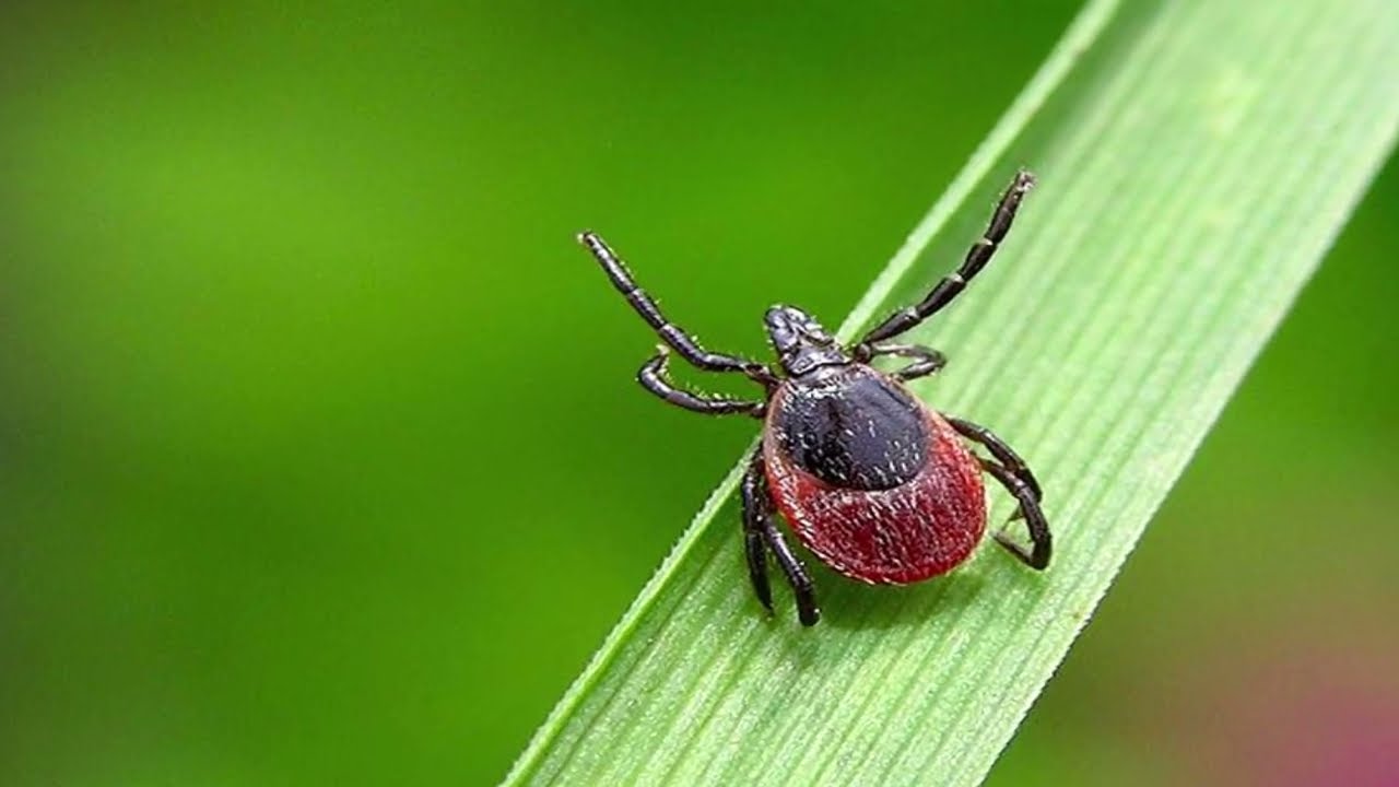 a globalis felmelegedes globalis