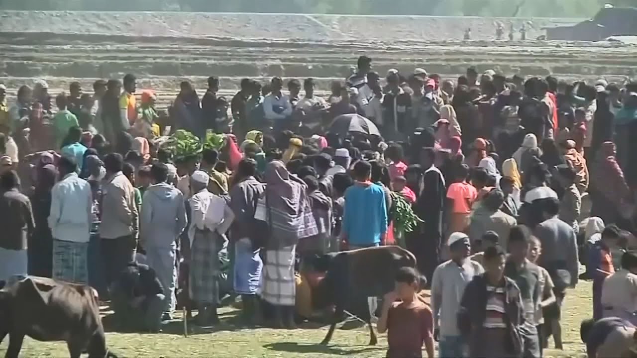 a koronavirus utan megjelent tob