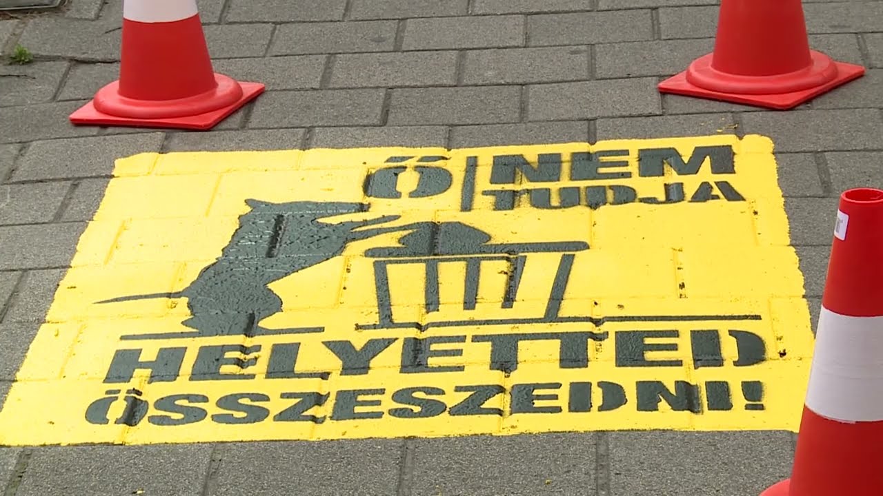 kutyapiszok utcai felfestesekkel