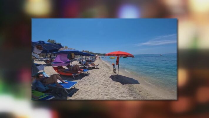 penz tarca 2023 augusztus 14