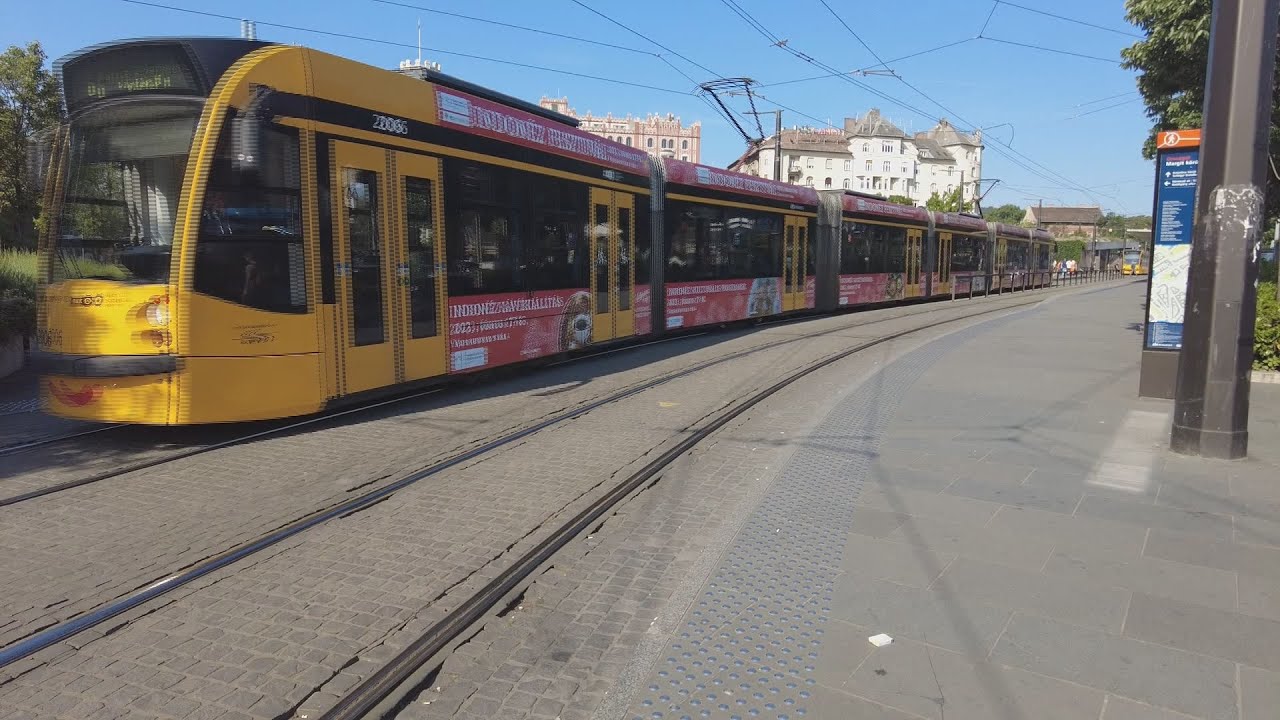 penzt lopott egy tolvaj egy alvo