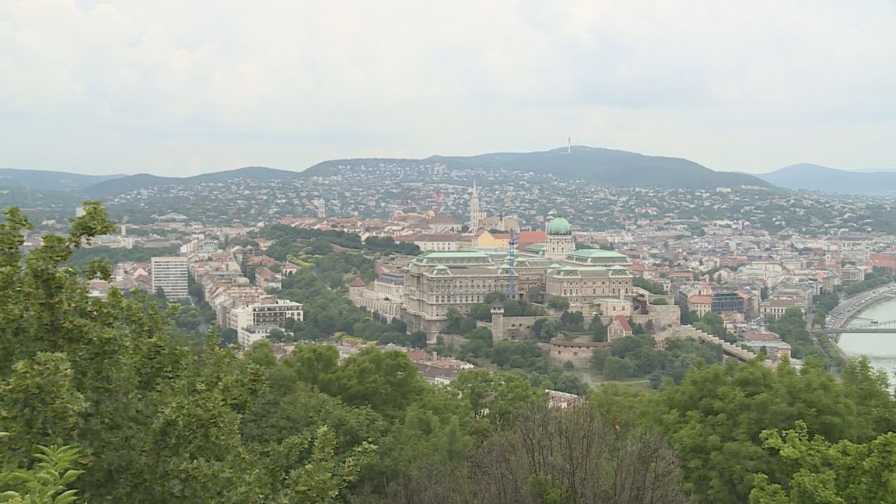 75 millio forintra palyazhatnak