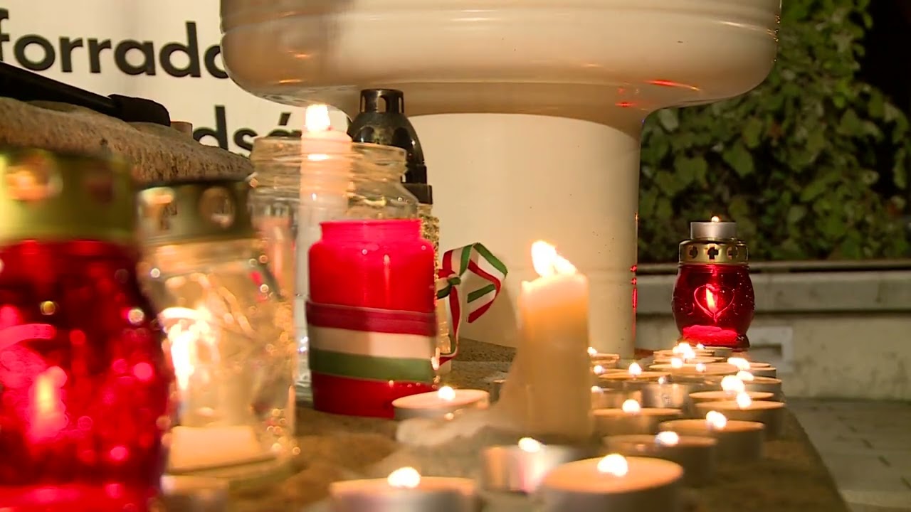 az 1956 os forradalom hoseire em